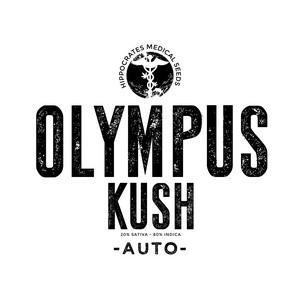Olympus Kush Auto