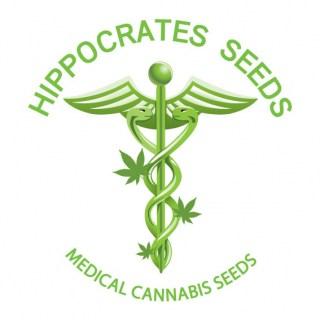 Hippocrates Seeds | Medical Cannabis Seeds